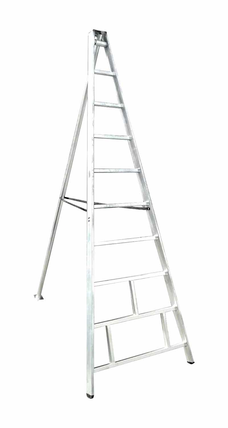 MEYVE TOPLAMA MERDİVENİ